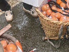 框里的橘子有点甜 